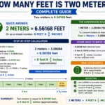 how many feet is two meters