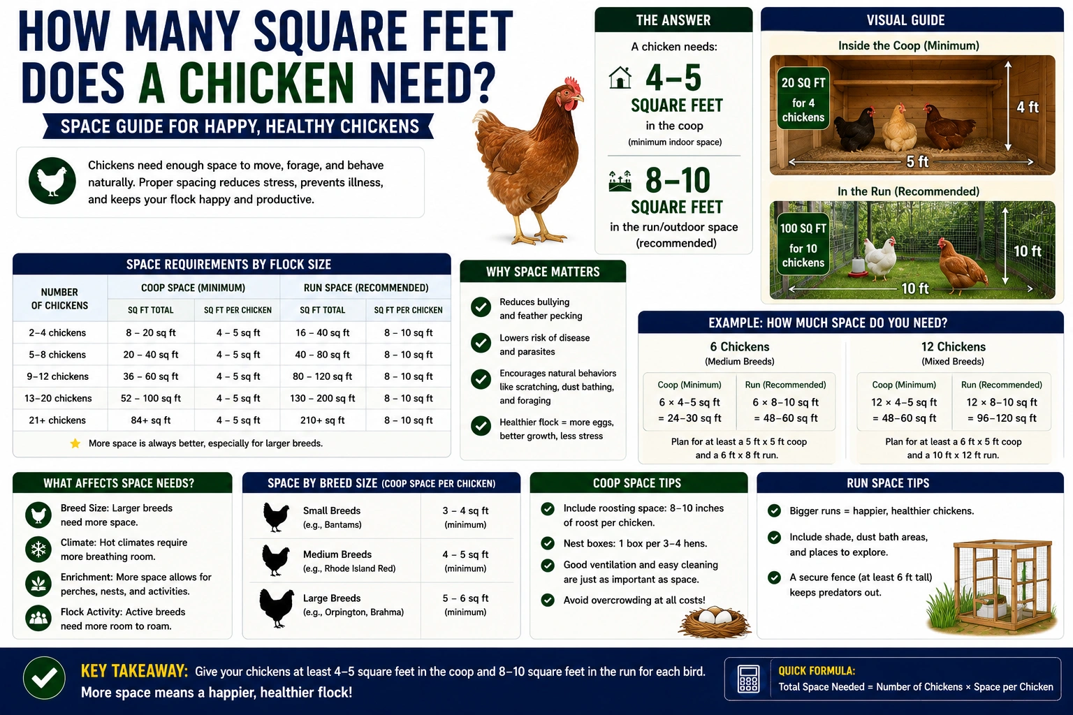 how many square feet does a chicken need