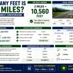 how many feet is two miles