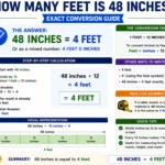 how many feet is 48 inches