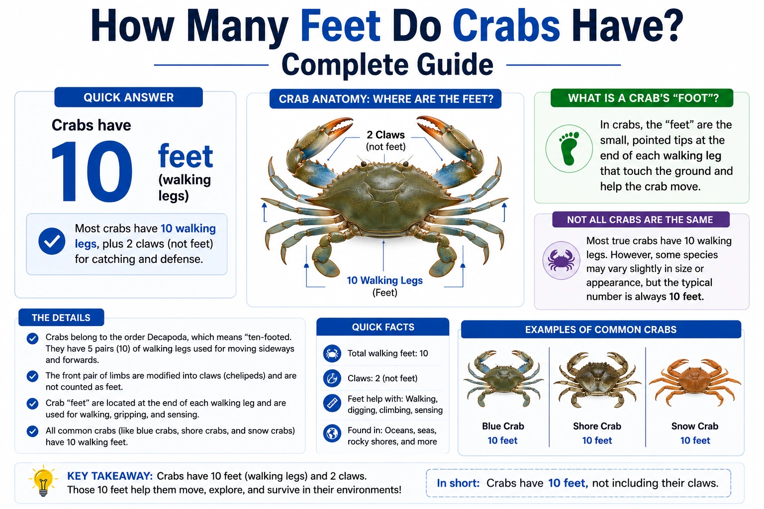 how many feet do crabs have