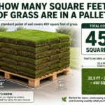 How Many Square Feet of Grass Are in a Pallet?