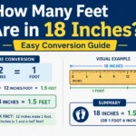 how many feet are in 18 inches