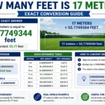 how many feet is 17 meters