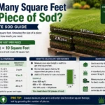 how many feet tall is a story