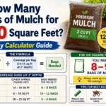 how many bags of mulch for 100 square feet