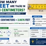 how many feet are there in 63 centimeters