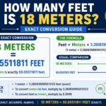 how many feet is 18 m