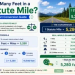 how many feet are in a statute mile