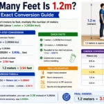 how many feet is 1.2m