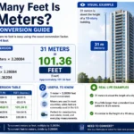 how many feet is 31 meters