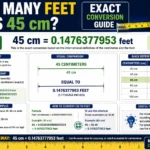 how many feet is 45 cm