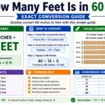 how many feet is in 60 in