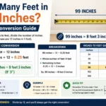 how many feet in 99 inches