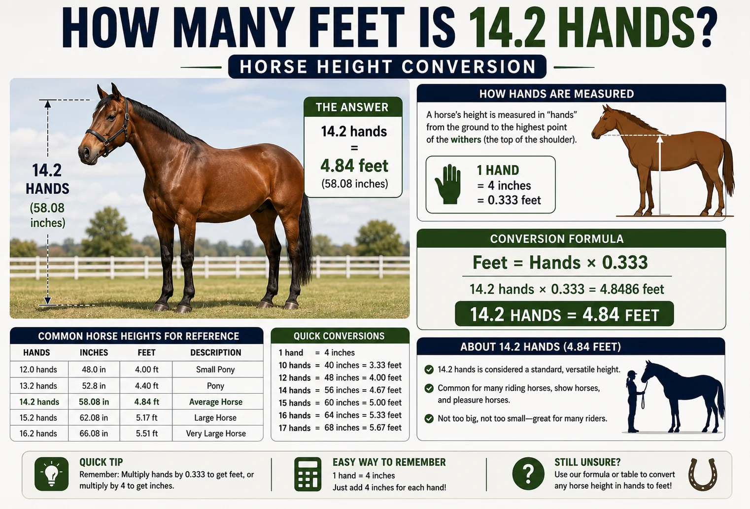 How Many Feet Is 14.2 Hands