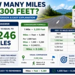 how many miles is 1300 feet