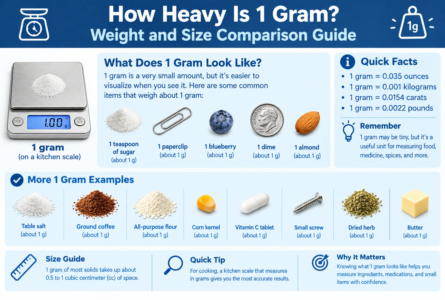 How Heavy Is 1 Gram